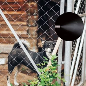 Dog kennel mist cooling system odor control